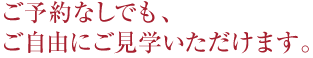 �V���[���[��